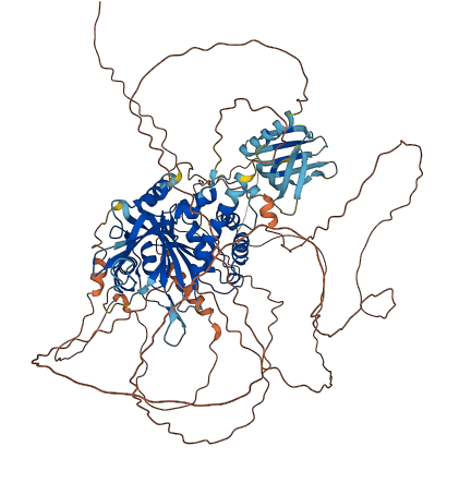 USP29 3D structure