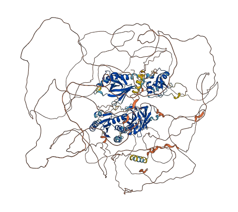 TNS1 3D structure