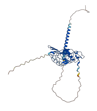 LRTM1 3D structure