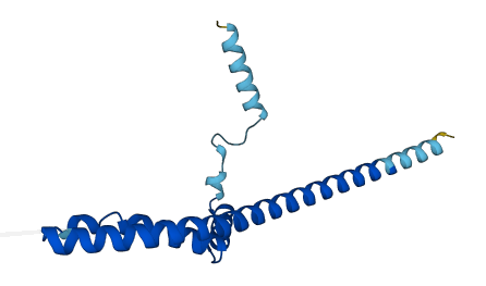 PLGRKT 3D structure