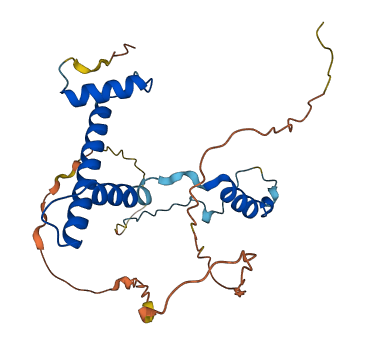 TAF9B 3D structure