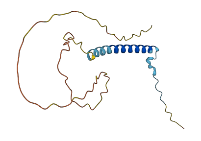 GOLGA2P5 3D structure