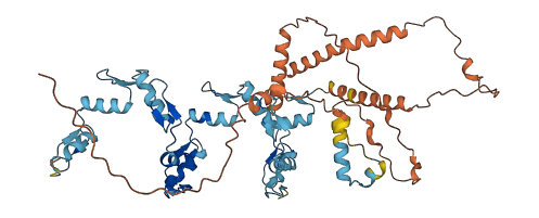 ZNF286A 3D structure