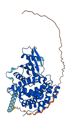 ETNK1 3D structure