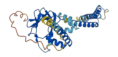 POPDC3 3D structure