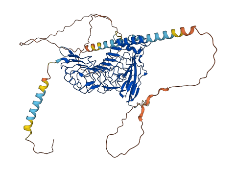 LRRC4 3D structure