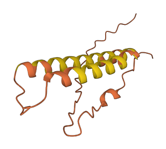 SND1-IT1 3D structure