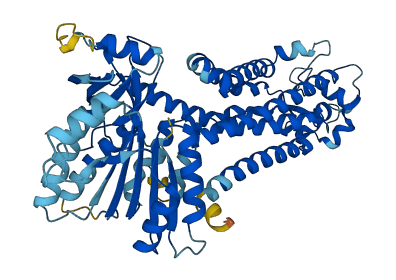 NOX3 3D structure