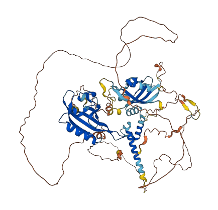 ARNT2 3D structure