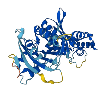 APOBEC3G 3D structure