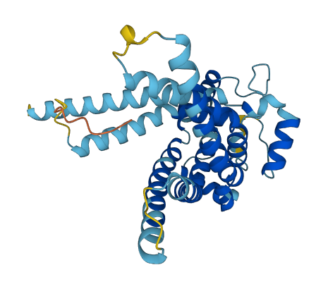 SLC25A19 3D structure