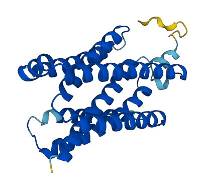 TMBIM4 3D structure