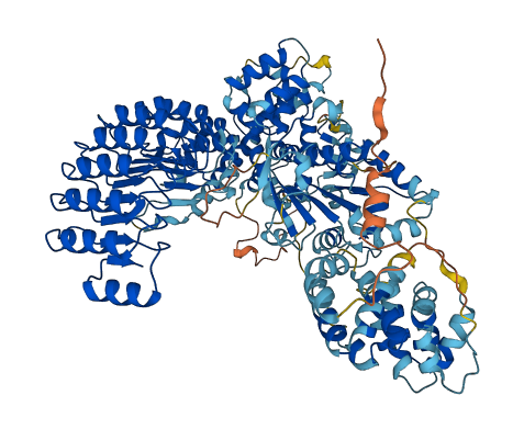 NOD2 3D structure