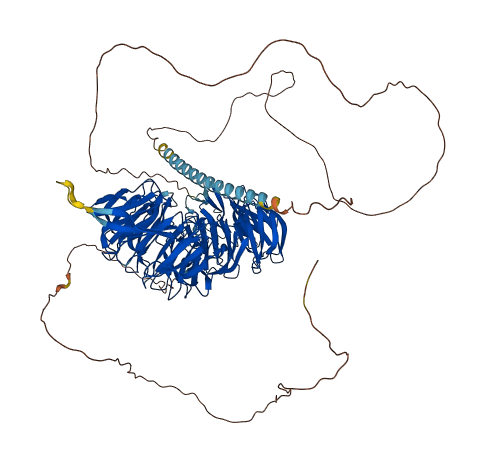 EML4 3D structure