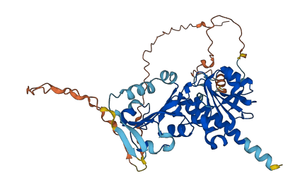 MRM3 3D structure