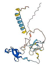 WFDC1 3D structure