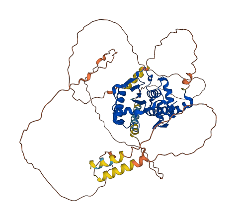 SENP2 3D structure