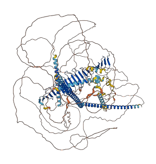 CENPJ 3D structure