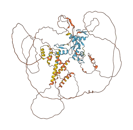 ZBTB20 3D structure