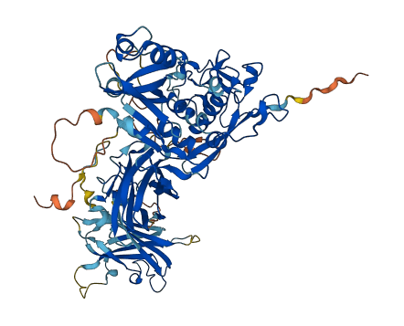CAPN10 3D structure