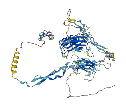 SPON1 3D structure
