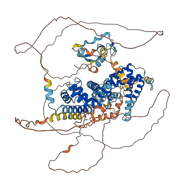 ZFYVE28 3D structure