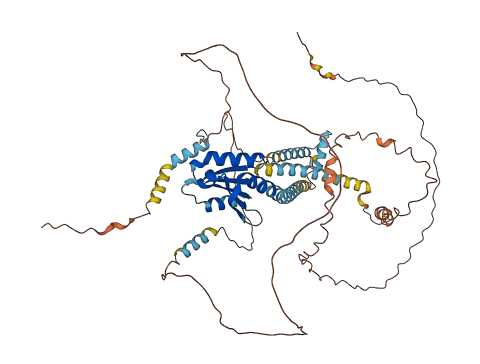 NCOA5 3D structure