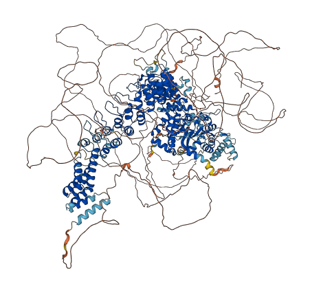 TANC2 3D structure