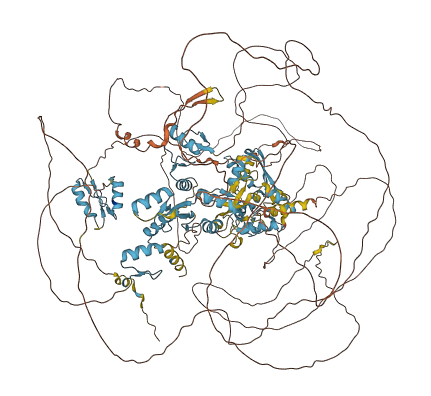 ZNF532 3D structure