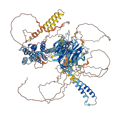 ARHGEF10L 3D structure