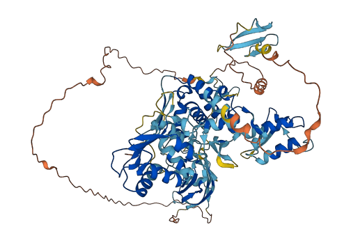 SMURF1 3D structure