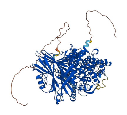 GBA2 3D structure