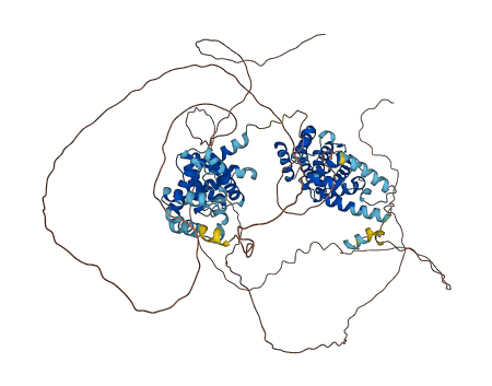 CWC22 3D structure