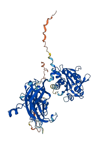 CPNE5 3D structure