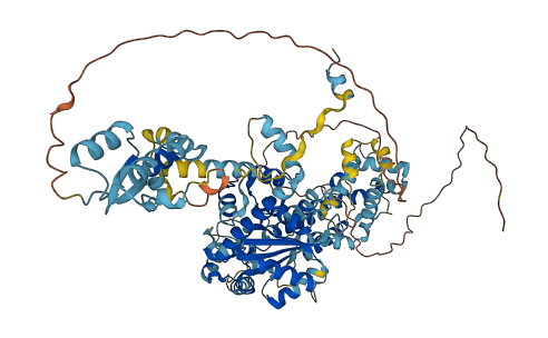 KIAA1586 3D structure