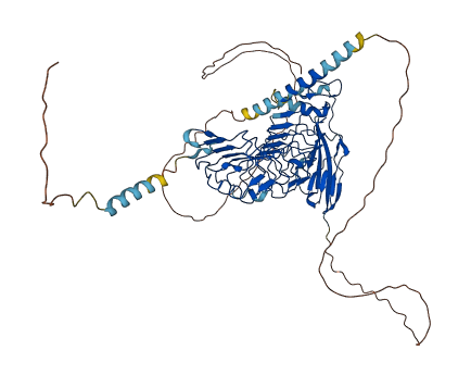 LRRC4C 3D structure