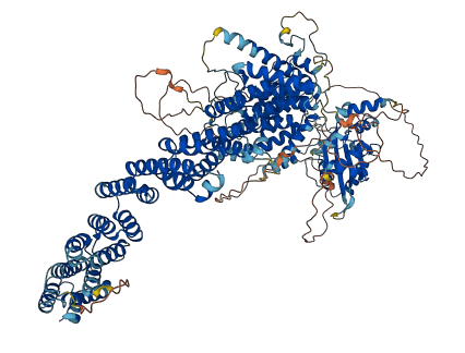 ZSWIM6 3D structure