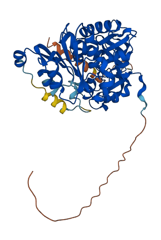 VAT1L 3D structure