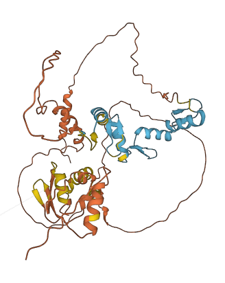ZBTB26 3D structure