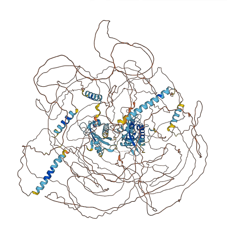 KIAA1549 3D structure