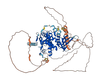 EPB41L5 3D structure