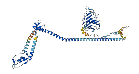 TRIM39 3D structure