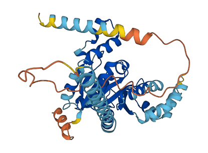 GPN1 3D structure
