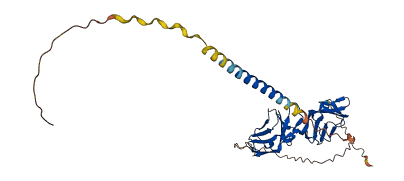 GP6 3D structure