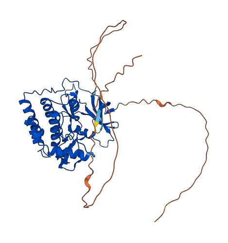 CSNK1G1 3D structure