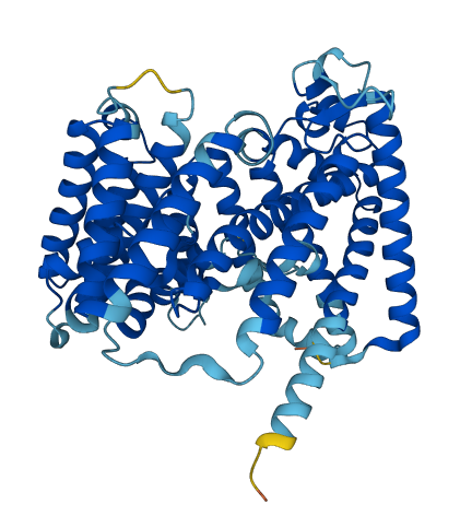 HHATL 3D structure