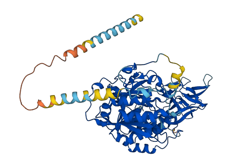 GALNT9 3D structure