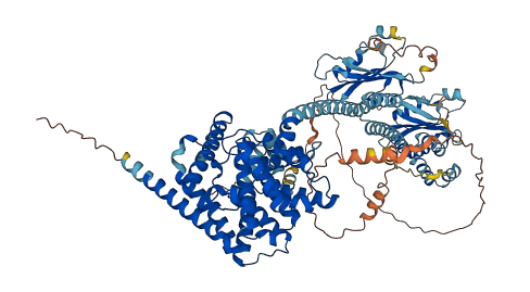 PDE11A 3D structure