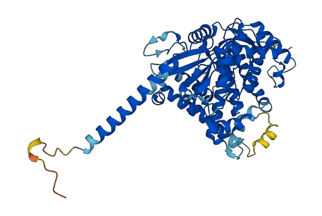 CYP4F12 3D structure