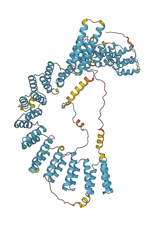 XAB2 3D structure